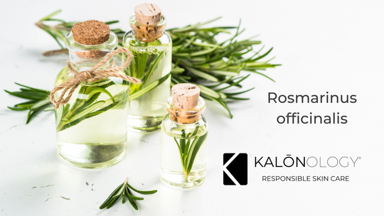 Rosemary Officinalis, Kalōnology Advanced Skin Care, Advanced Vitamin C Serum, Elemis