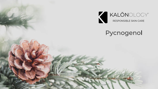 Pycnogenol, Kalōnology Responsible Skin Care, Marine Day Cream, SPF30, Kalōnology